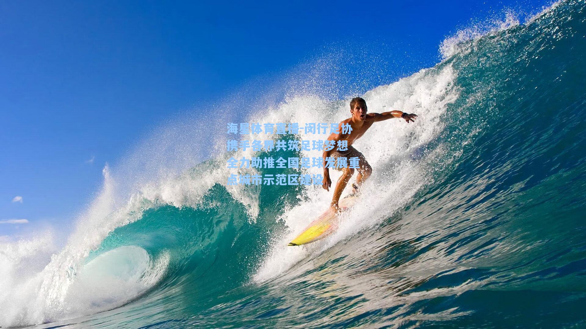 闵行足协携手各界共筑足球梦想 全力助推全国足球发展重点城市示范区建设