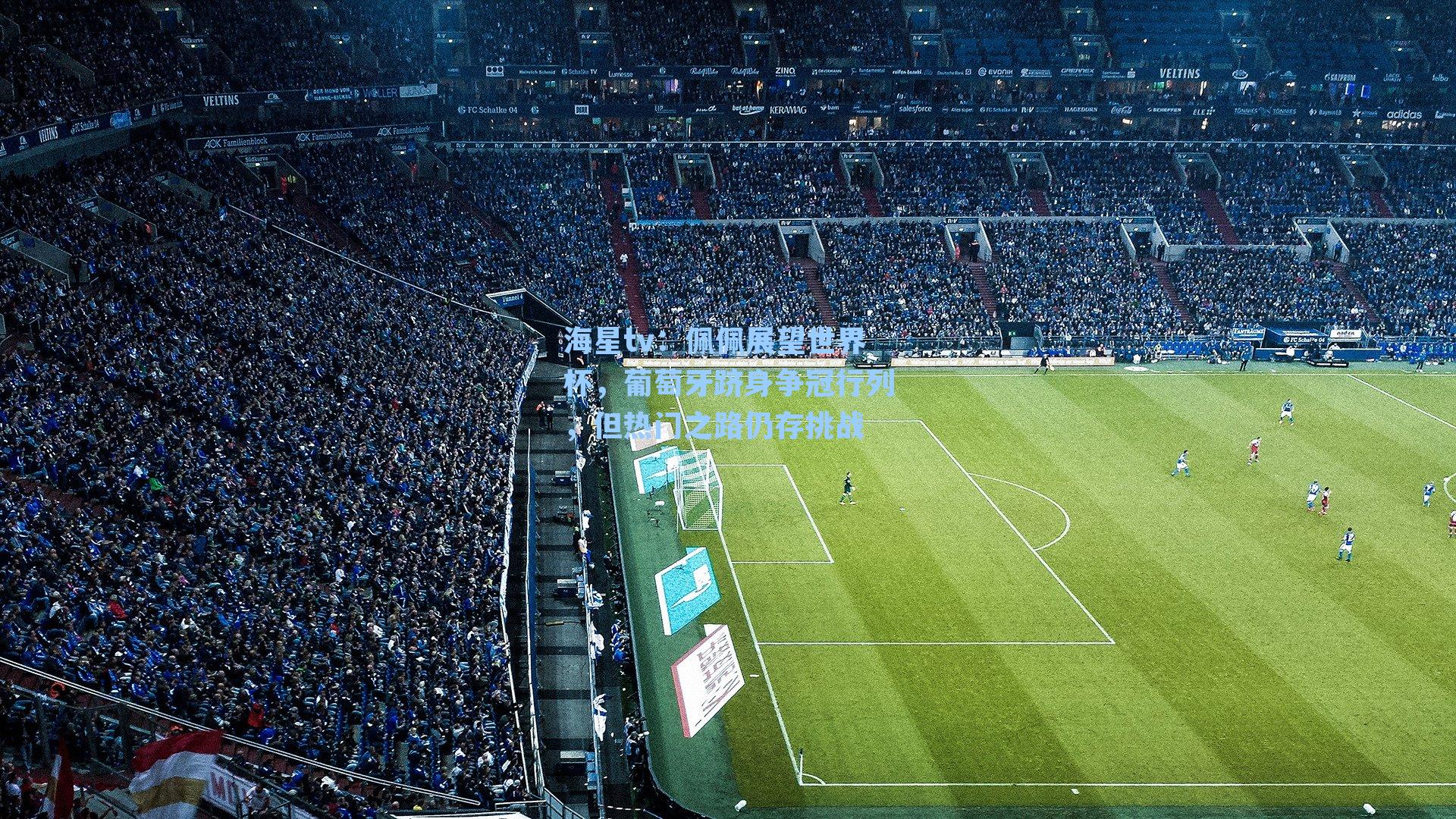 海星tv：佩佩展望世界杯，葡萄牙跻身争冠行列，但热门之路仍存挑战